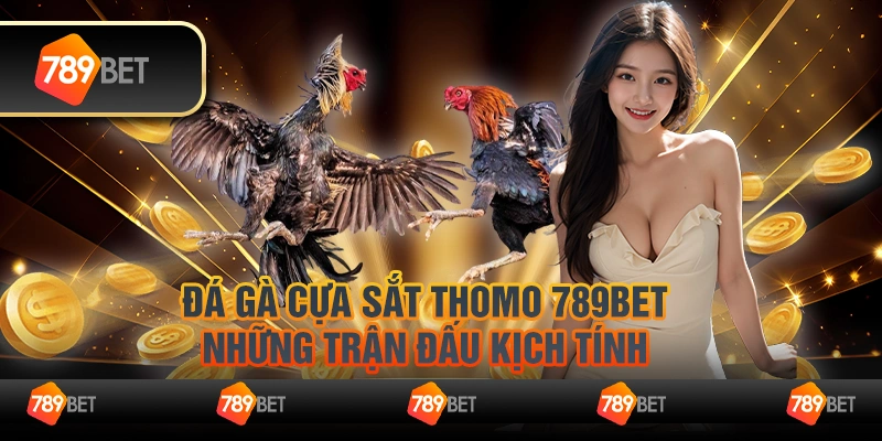 Đá gà cựa sắt thomo 789Bet - Những trận đấu kịch tính