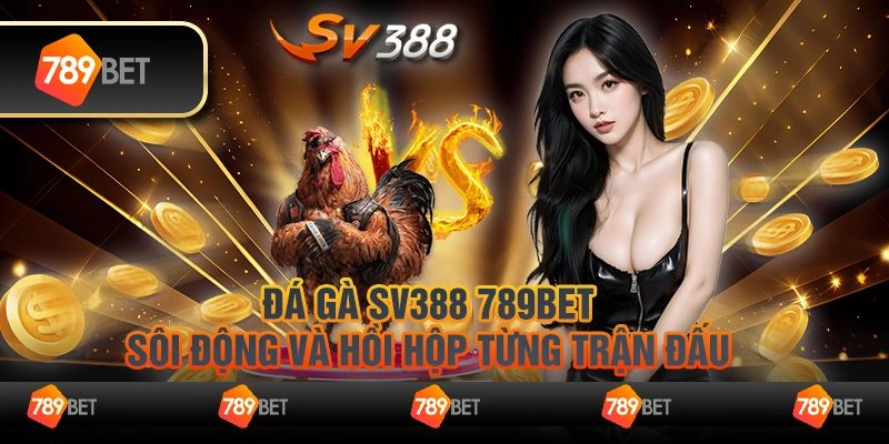 Đá gà sv388 789Bet - Sôi động và hồi hộp từng trận đấu