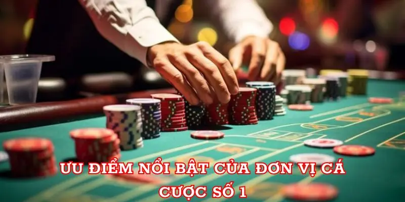 Ưu điểm nổi bật của đơn vị cá cược số 1